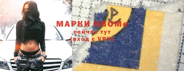 индика Покров